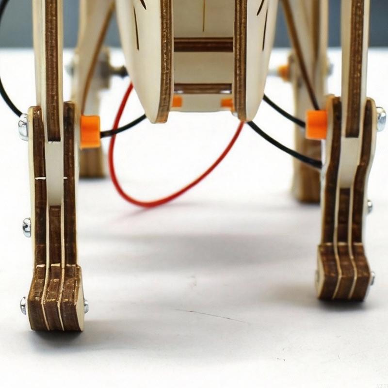 Robot mécanique en bois, Kits  - Science Project Robot avis et prix