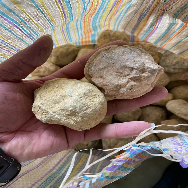 Cassez vos propres géodes, géo - Geode Crystal Break avis et prix